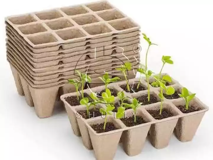 Pulp seedling trays for greenhouse nursery